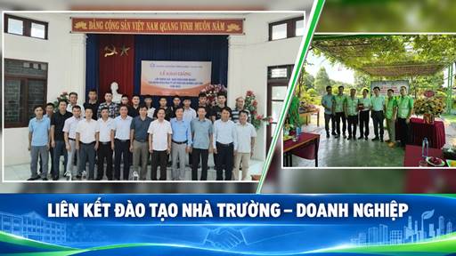 Gắn đào tạo với nhu cầu doanh nghiệp – hướng đi nâng cao chất lượng nguồn nhân lực trong kỷ nguyên số